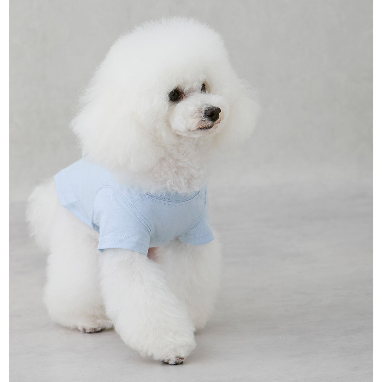 [Link][DOG] Cool Touch Embroidered Short Sleeve T-Shirt,Light green, large image number 3