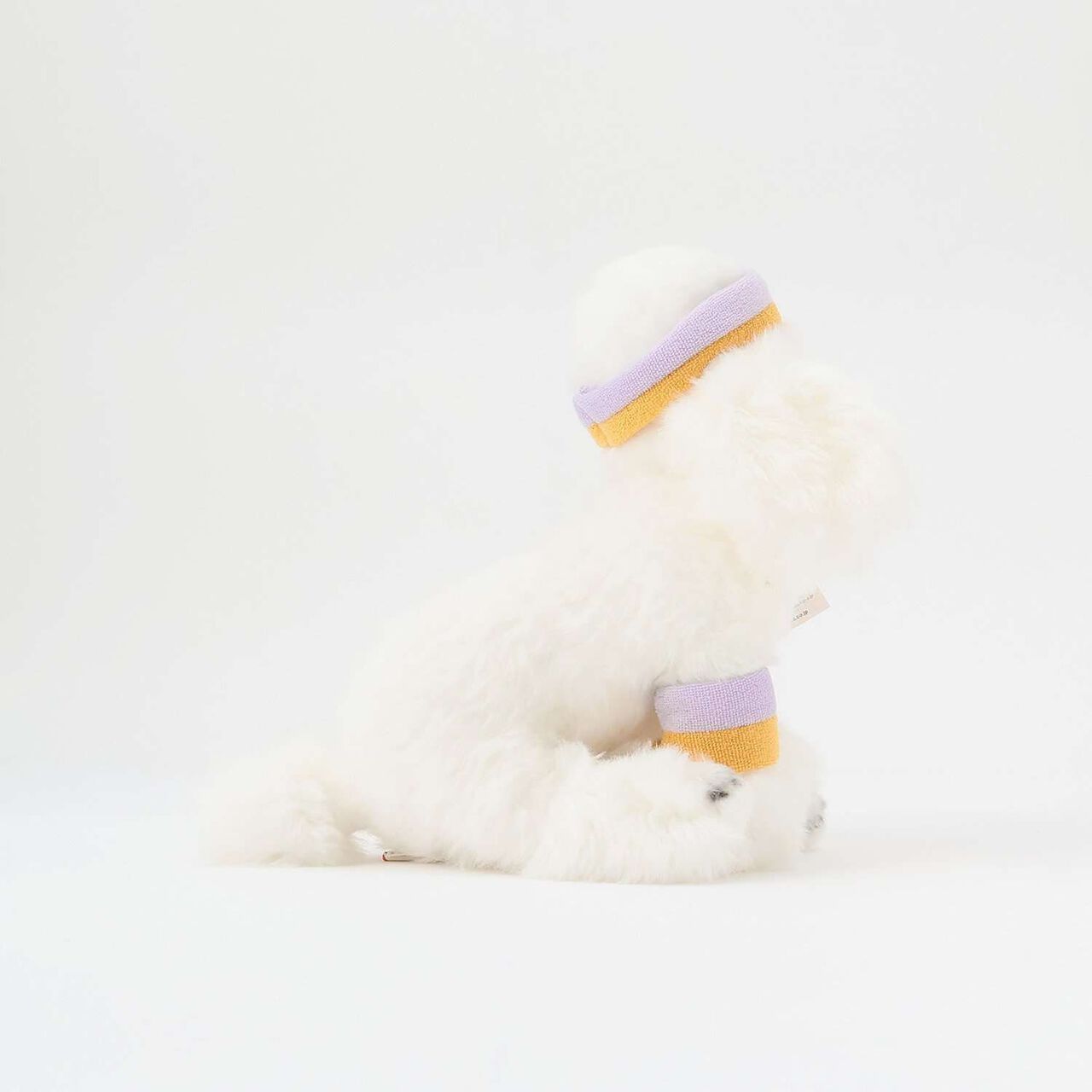 [BT.Chaps] Sporty Poodle/L,, large image number 2