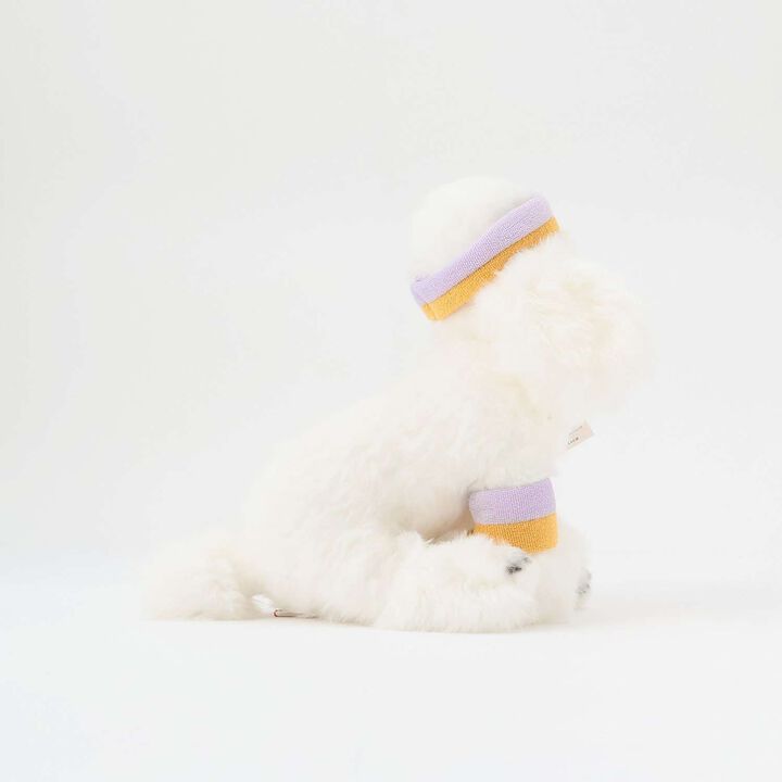 [BT.Chaps] Sporty Poodle/L,, medium image number 2