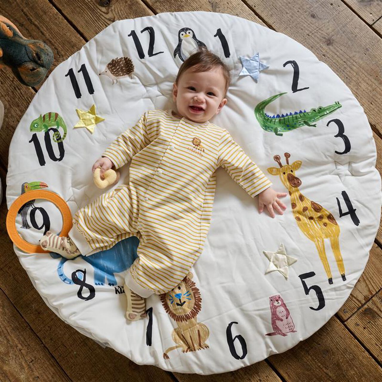 Baby Photo Mat,Multi color, large image number 0