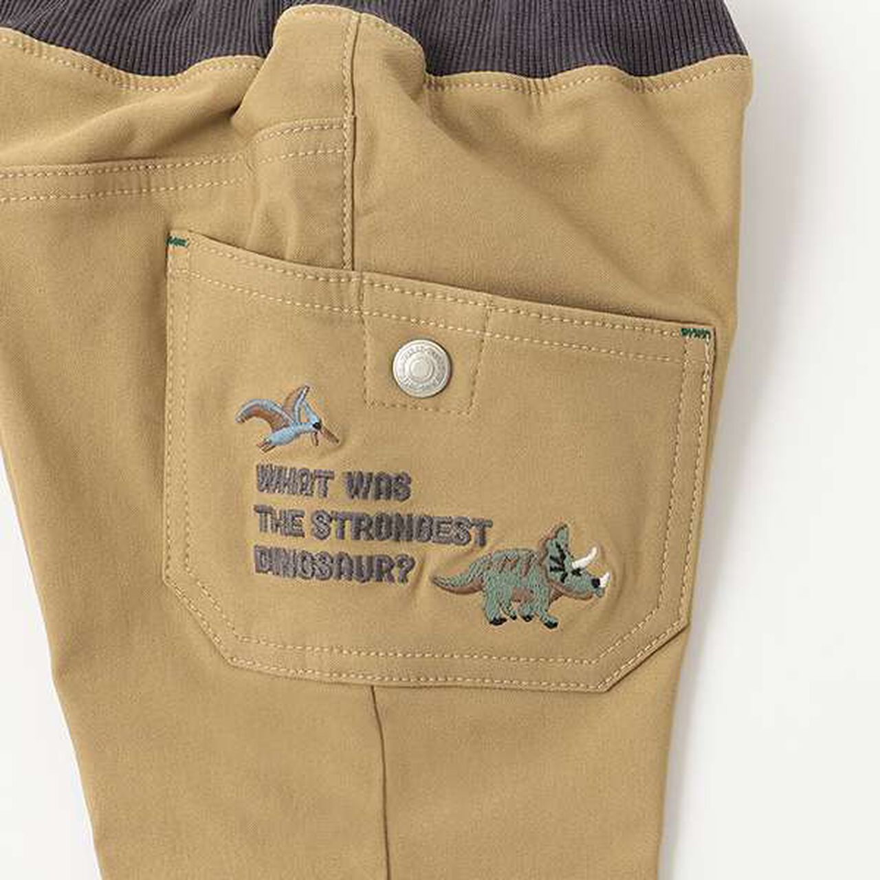 Dinosaur Long Straight Pants,Navy, large image number 6