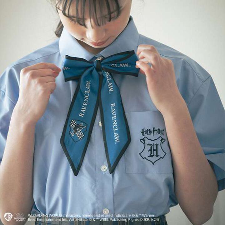 [Harry Potter] Scarf Ribbon Charm,Yellow, medium image number 1