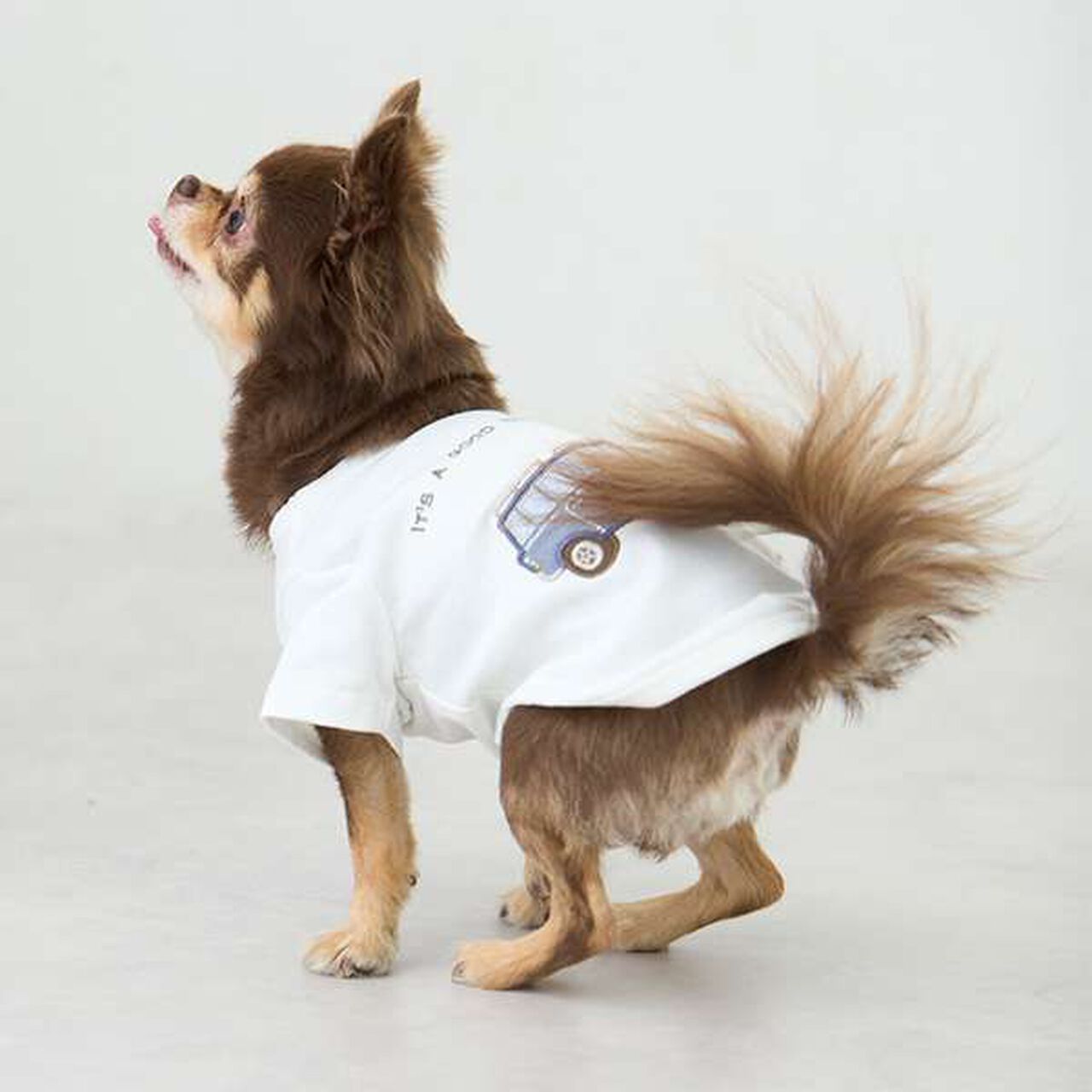 [DOG] Vehicle Appliqu&eacute; T-Shirt,Light green, large image number 15