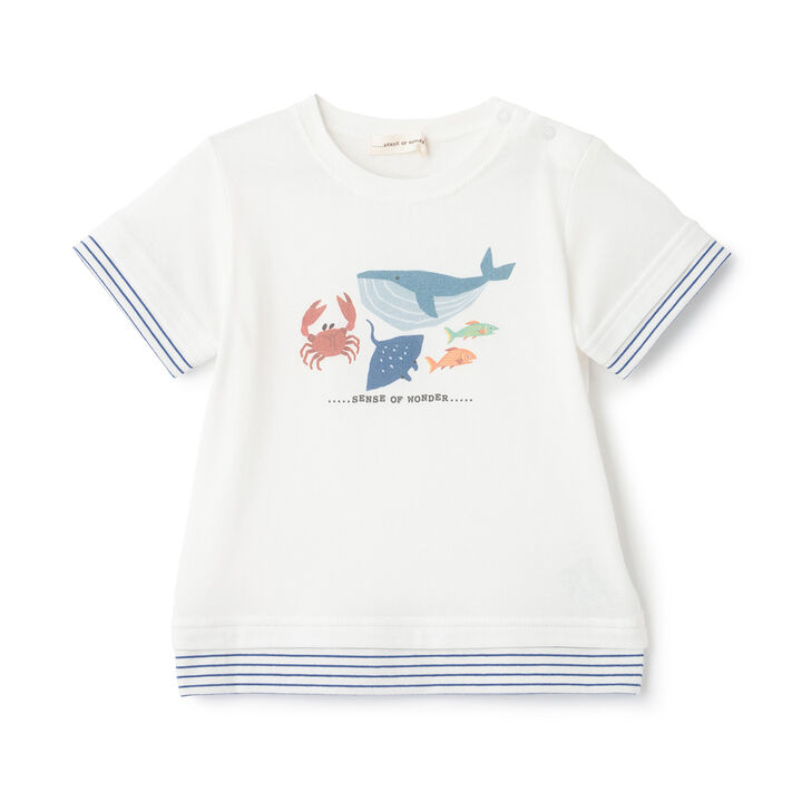 Cool Touch Marine Life Print Short-Sleeve T-Shirt,, medium