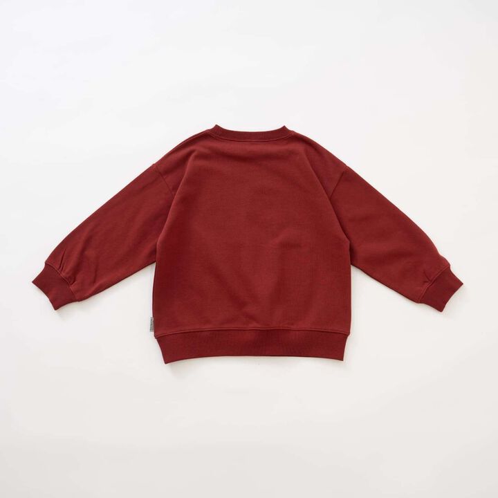 Cracked Finish Sweatshirt Pullover,Top gray, medium image number 13