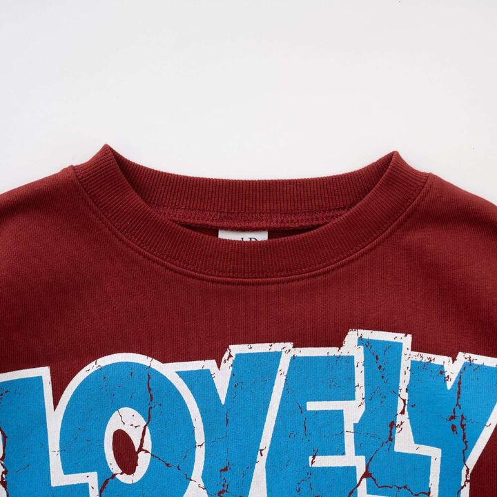 Cracked Finish Sweatshirt Pullover,Top gray, medium image number 9