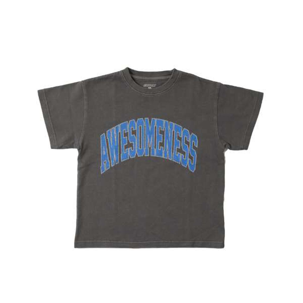 [SKIT0LY] [Heavyweight Jersey] Pigment College Printed T-Shirt,Charcoal gray, large image number 0