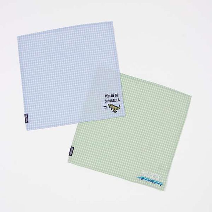 Train/Dinosaur Check Handkerchief,Sax blue, medium image number 5
