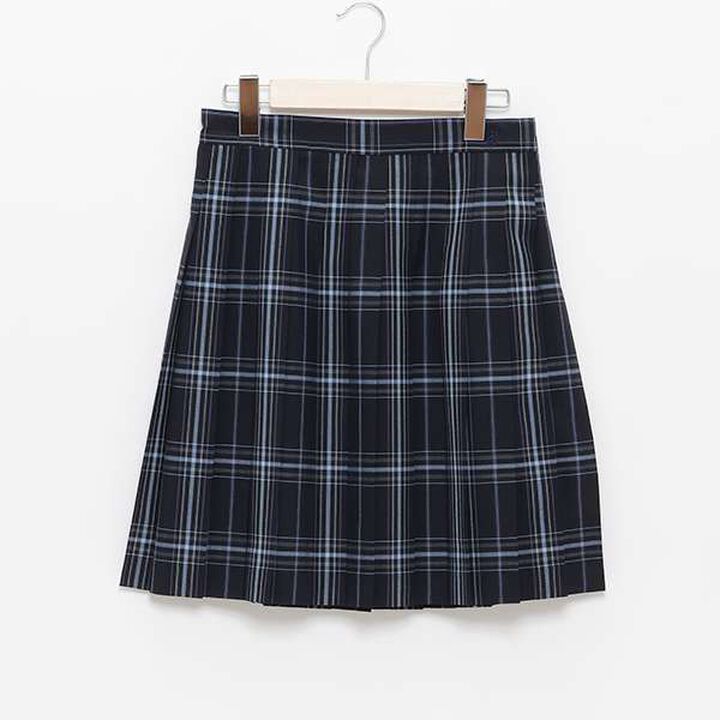 50cm Length 24-Piece Check Pleats Check Skirt,Beige, medium image number 16