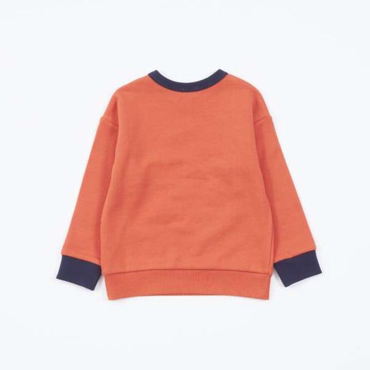 KP Boy Dinosaur Fossil Embroidered Sweatshirt [80-130],Blue, medium image number 17