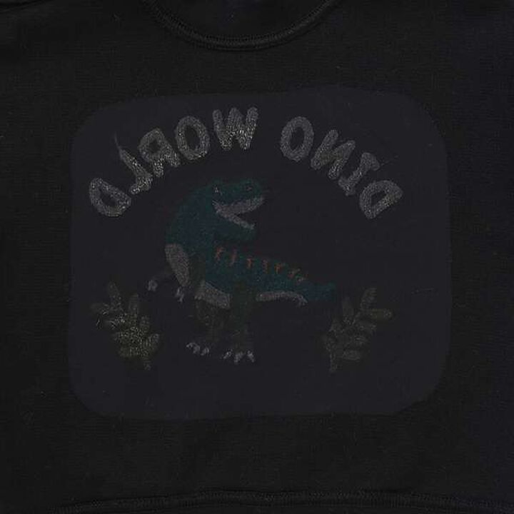 Sagara Dinosaur Sweatshirt,Moderate blue, medium image number 4