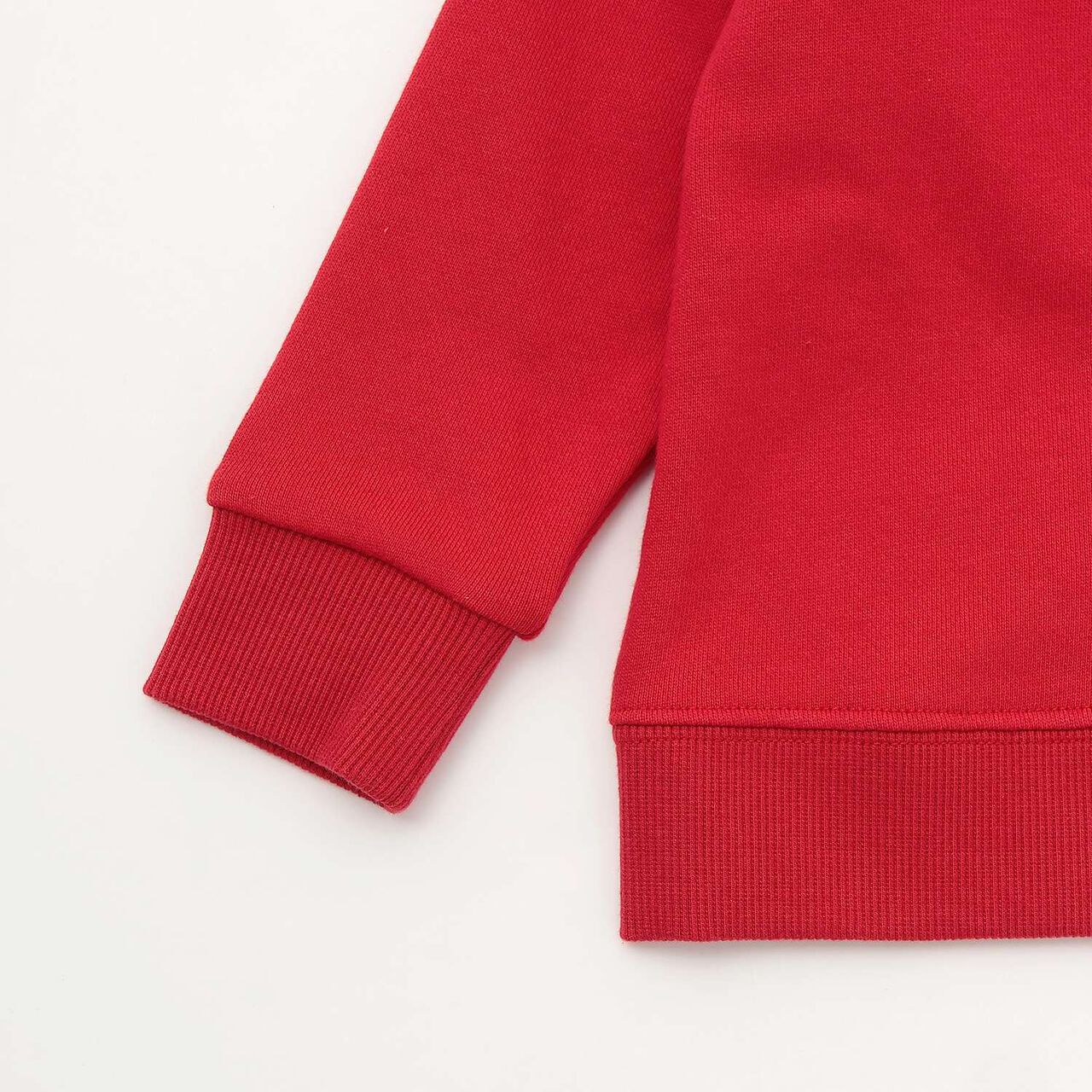 [Restock] Dinosaur Sagara Sweatshirt,Red, large image number 5