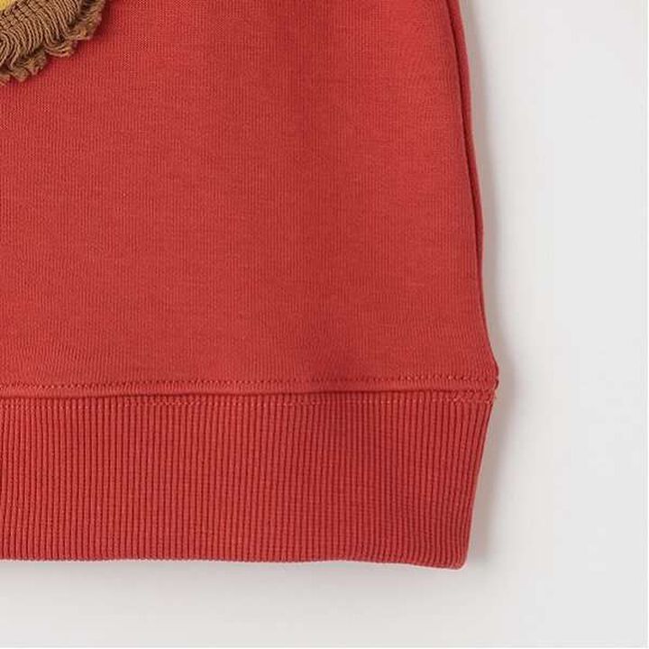 Lion Applique Sweatshirt,Red, medium image number 8