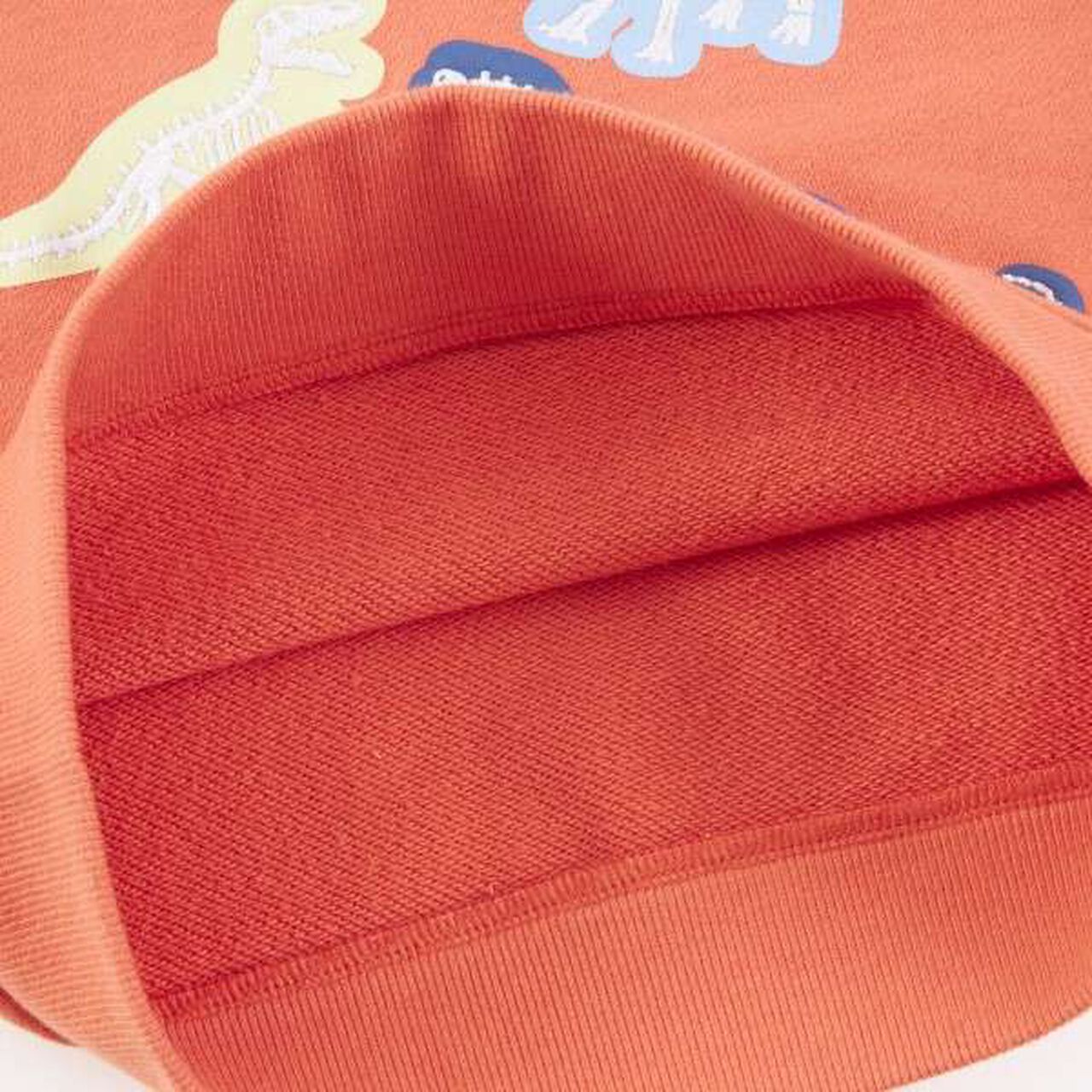 KP Boy Dinosaur Fossil Embroidered Sweatshirt [80-130],Blue, large image number 12