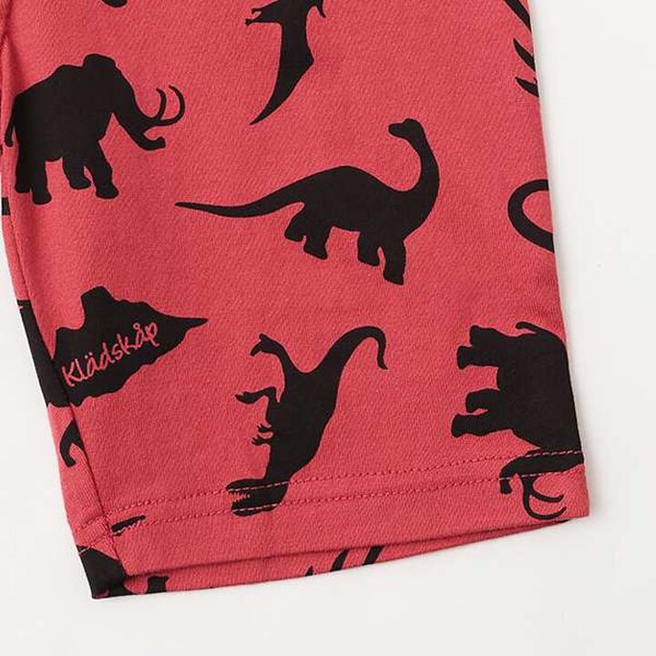 Dinosaur Appliqué Short Sleeve T-Shirt Outfit Set,Off white, medium image number 3