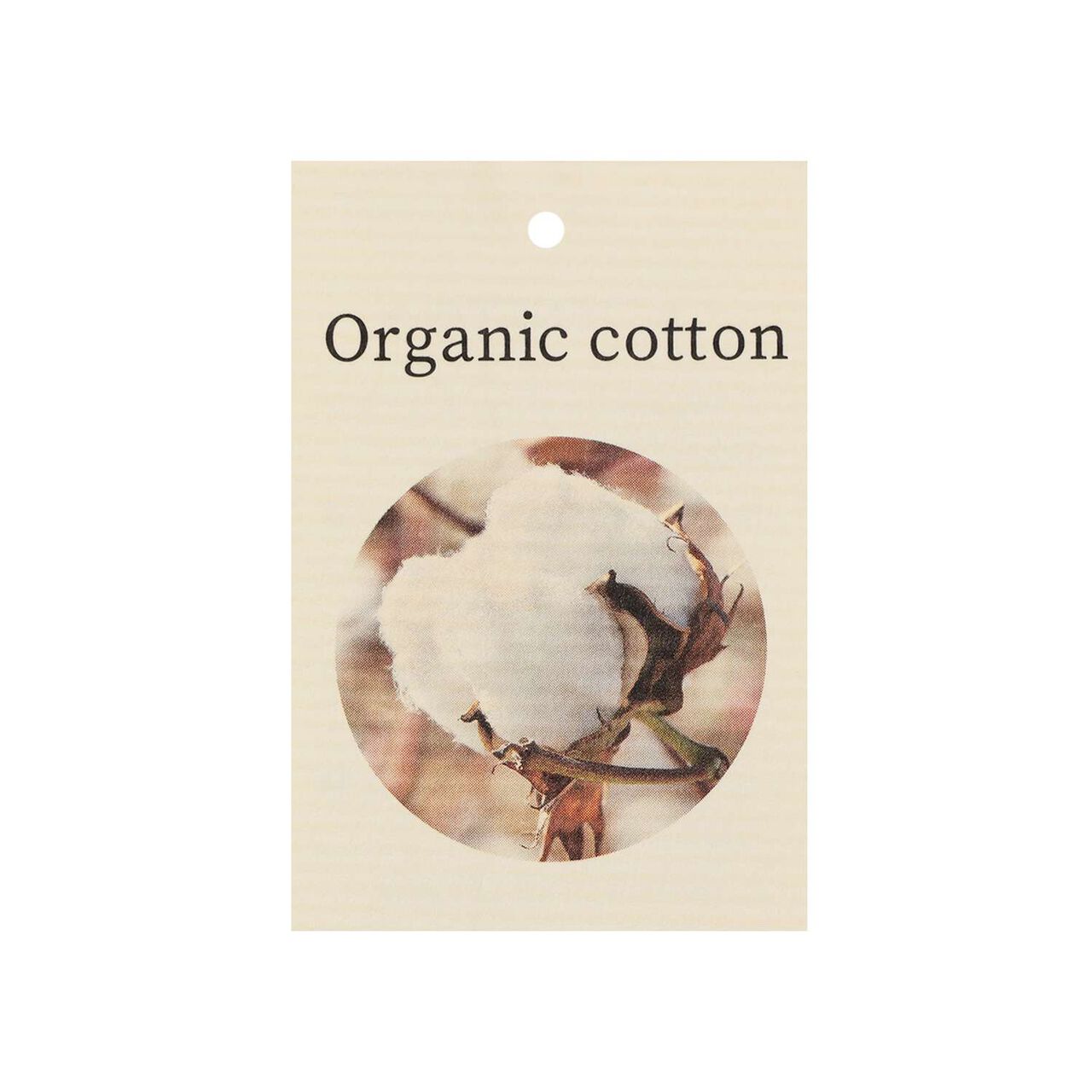 Organic Ribbed Knit Leggings [Made in Japan],Pearl white, large image number 6