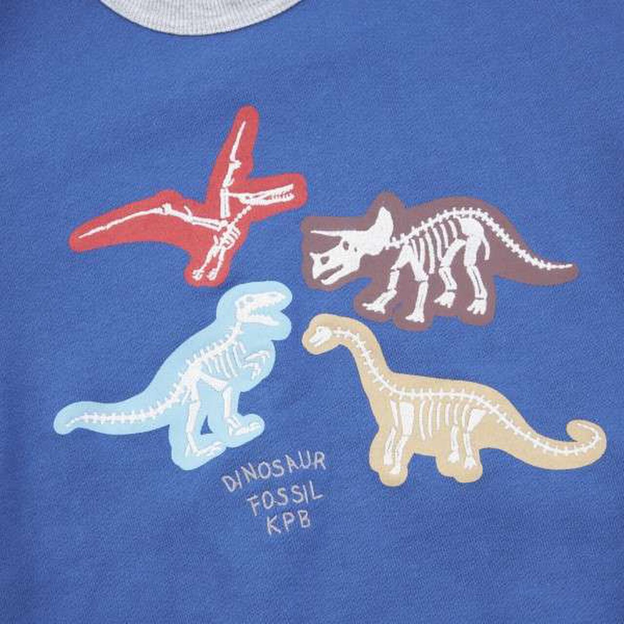 KP Boy Dinosaur Fossil Embroidered Sweatshirt [80-130],Blue, large image number 13