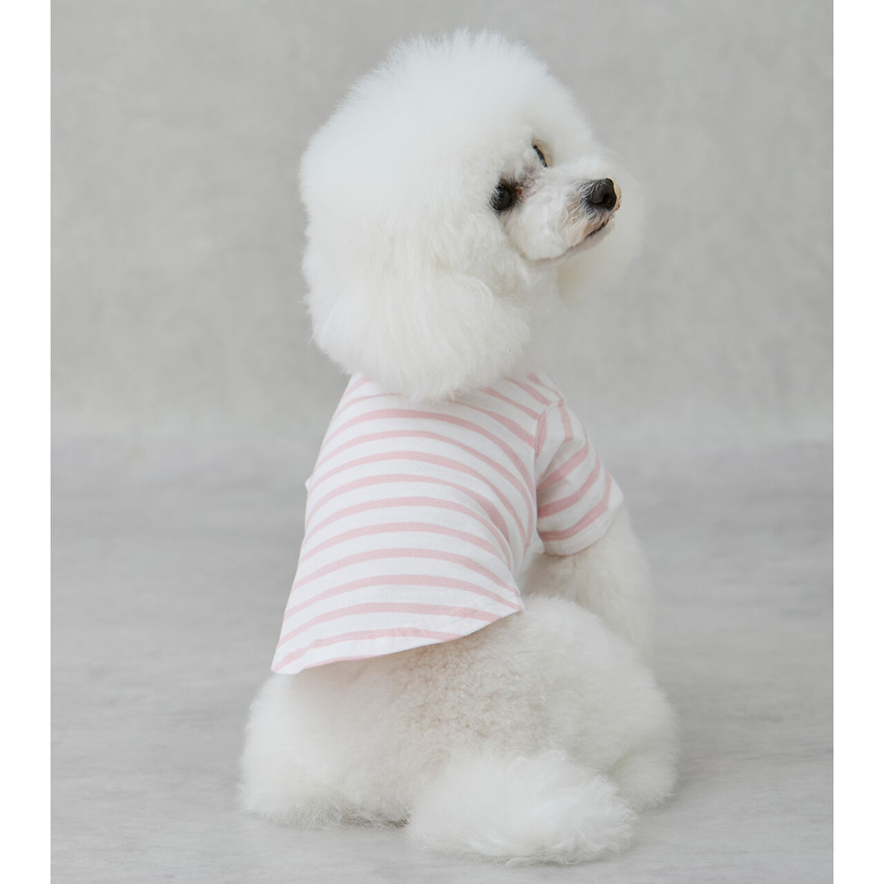 [Link][DOG] Cool Touch Striped T-Shirt,Green, large image number 7