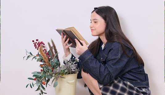 pom ponette junior banner